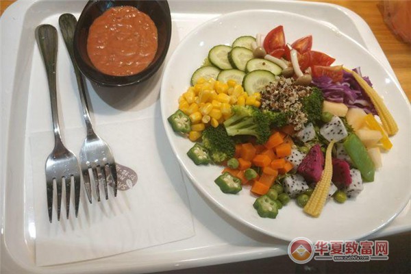 沙拉游记加盟